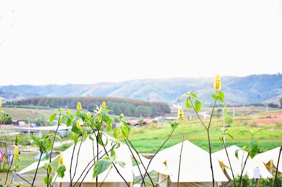 Hotel Kondee Cino Cafe & Glamping Amphoe Amphoe Khao Kho Exterior foto